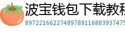 波宝钱包下载教程